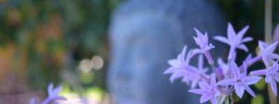 学会思维转弯是人生一种顶级的“智慧”