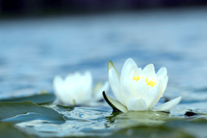 生活中处处都体现着佛法