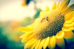 培养孩子的自律，关键是自己以身作则