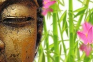 学佛的路上我们是否守住了初心